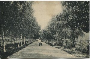 Бульвары в Белозерске